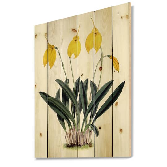 Designart - Retro Orchid Flowers